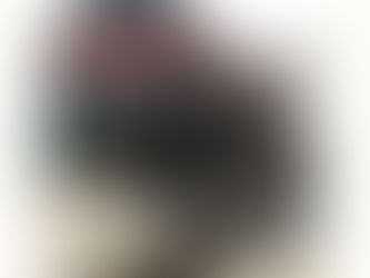 Explosion Proof Truck Scale -Tanzania