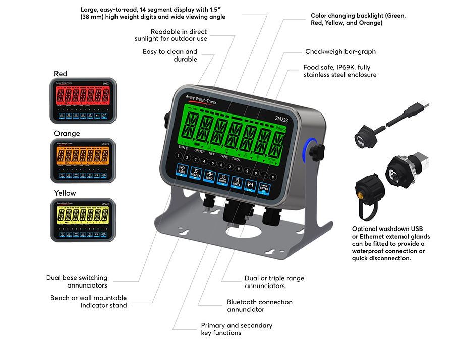 ZM223 Weight Indicator by Avery Weigh-Tronix