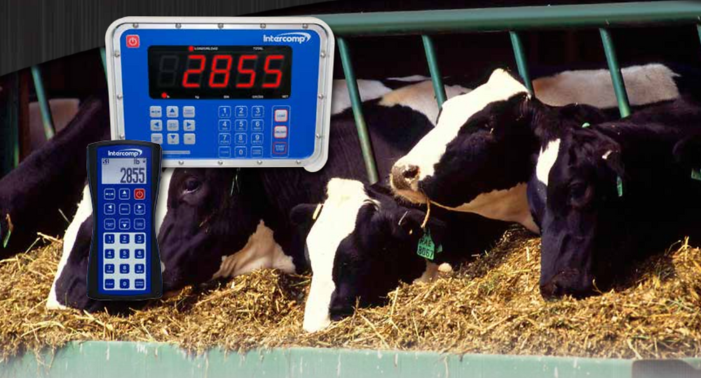 Pelletier Rd800 RD800™ LED Remote Display