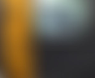 SS Self-Service System- Barbal