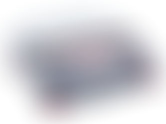 COUNTING SCALES RANGER® COUNT 4000