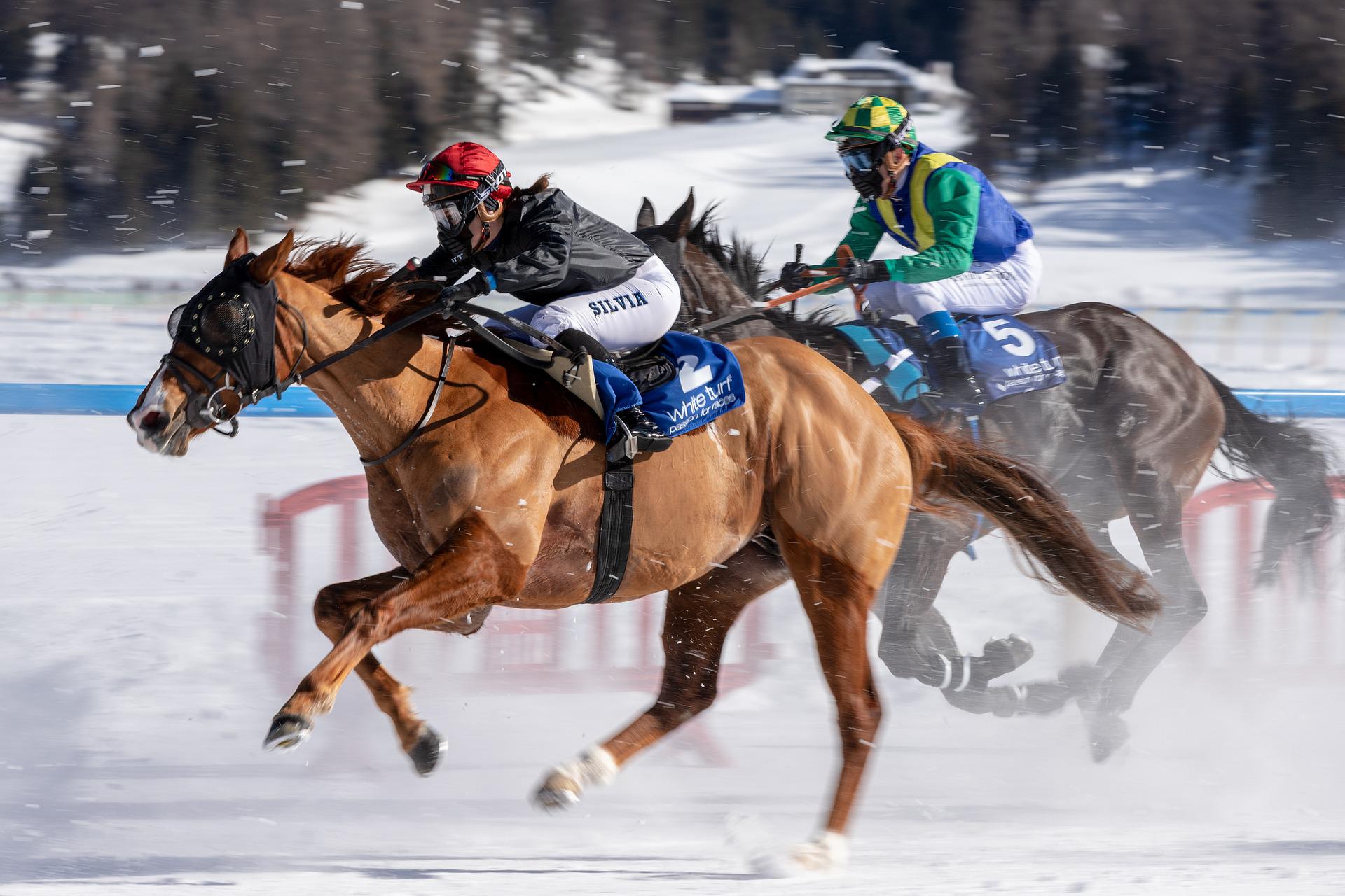 Transfer Geneva Airport (GVA) to St. Moritz – Alpine Transfer