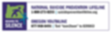 Break-the-Silence-Box-NSPL+YL (1).png
