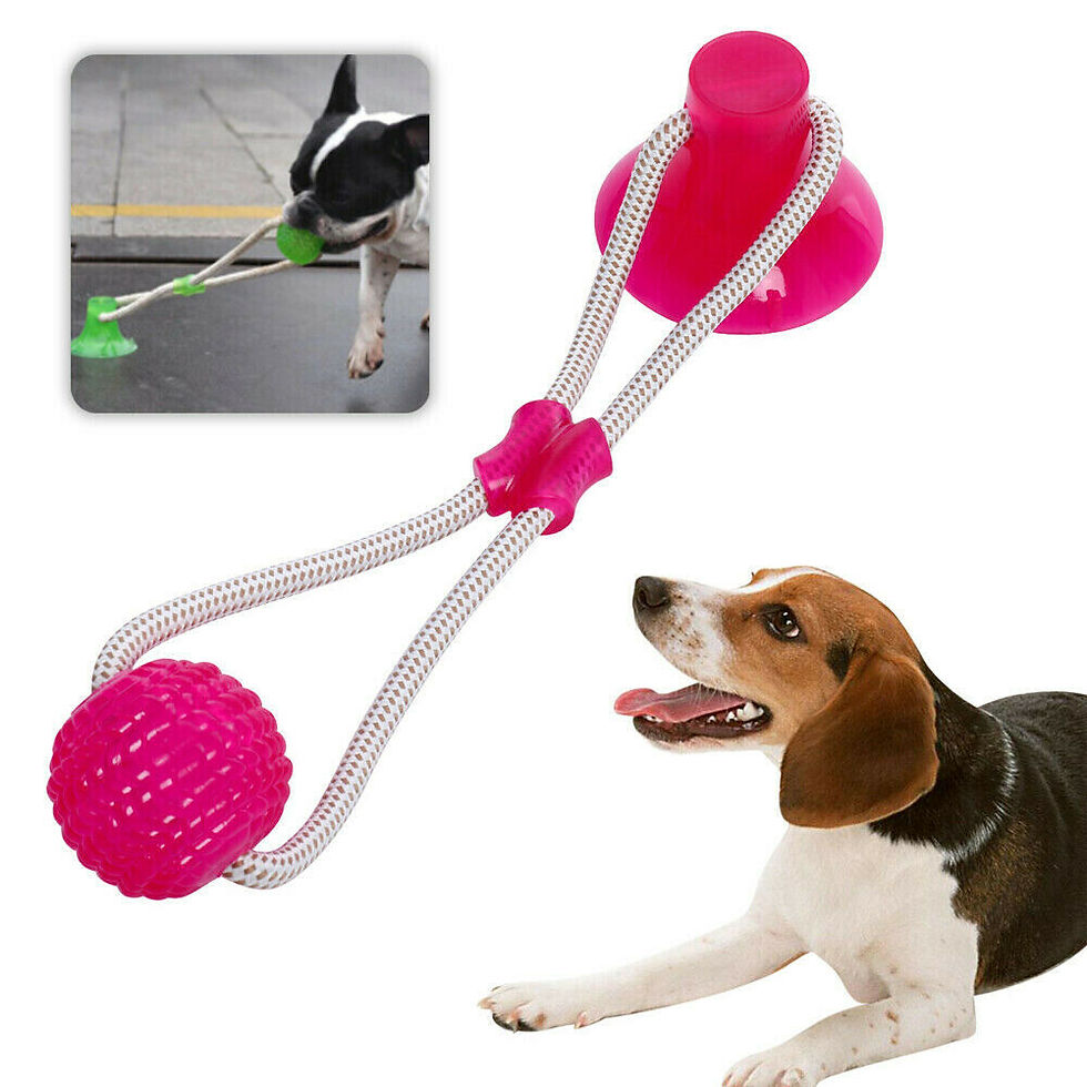 Thumbnail: Ball with suction cup toy