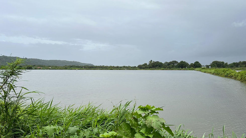 WhatsApp Image 2025-10-08 at 8.40.37 AM