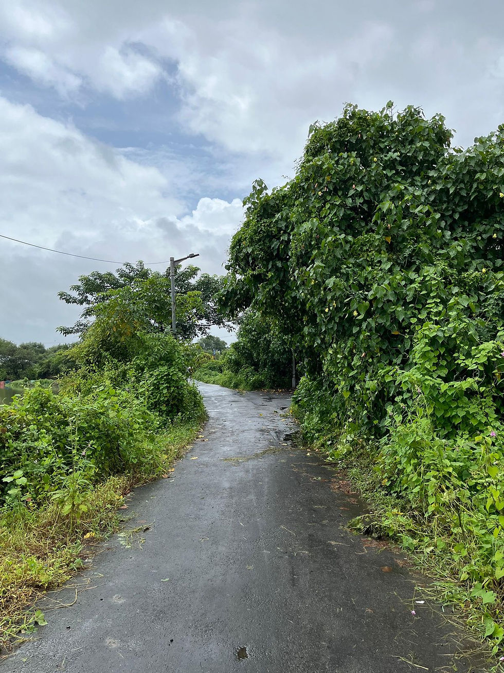 WhatsApp Image 2025-10-08 at 8.40.40 AM