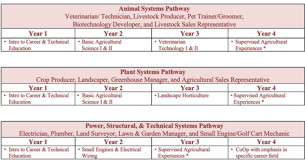 Career Examples and Pathways of Study