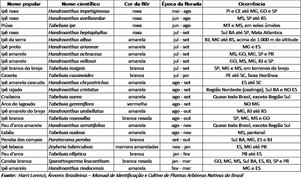 Tabela com 23 espécies de ipês