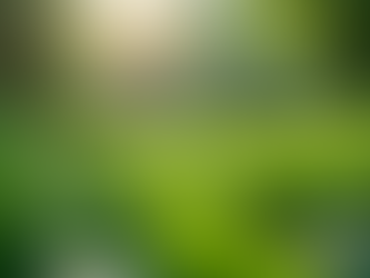 The Importance of Sustainable Living in Today's World