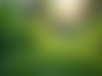 The Importance of Sustainable Living in Today's World