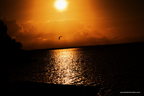 MRF_0790