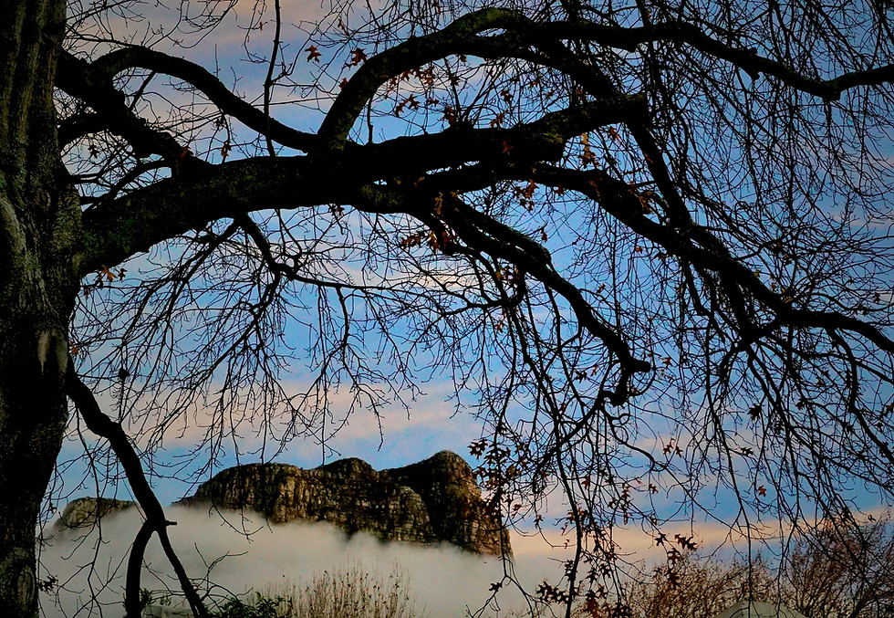 Thumbnail: Nature Photography