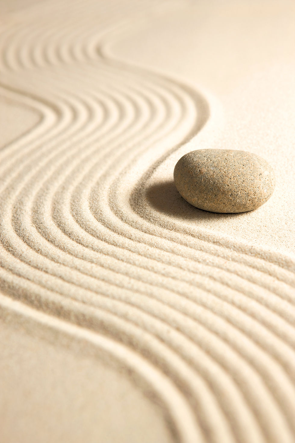 Zen Garden with Stone_edited.jpg