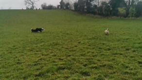 Banba 'Come'! 🙌💚