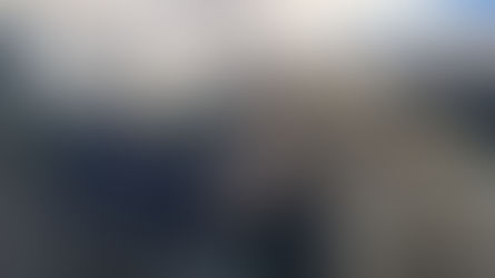 But you said that you love me?