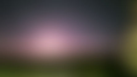 Mother Moon Father Sun