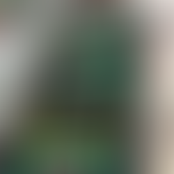 Trays of soil blocks for seedlings germinating in a sunroom