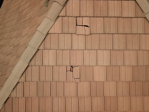 DJI_0004.JPG