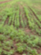 PHOTO-2023-05-29-21-06-02