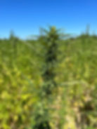 PHOTO-2023-05-12-17-59-47