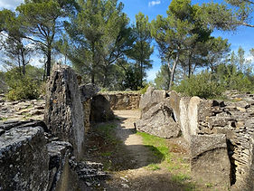 WhatsApp Image 2025-11-29 at 08.55.55.jpeg