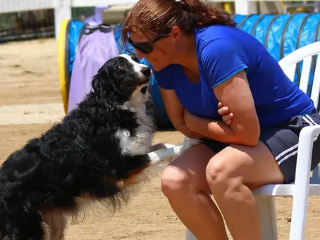 The Ultimate Guide to Holistic Pet Care