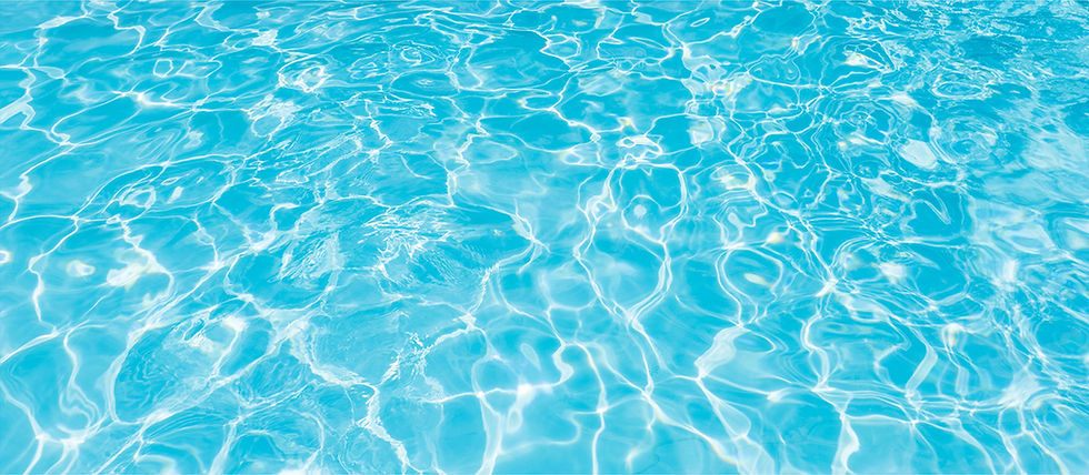pool-back.jpeg