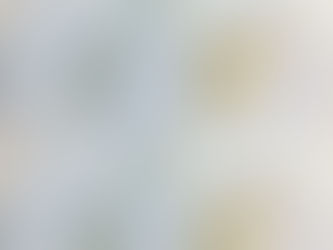 春のご予約&週末のお買い物。