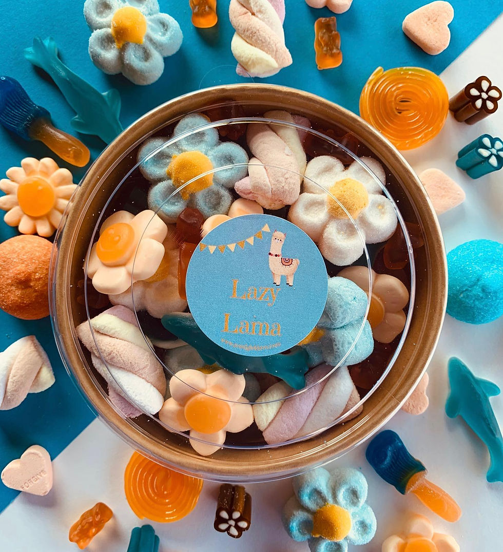 Sharingbox BLAUW
