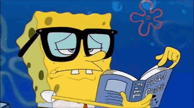 cowboys-spongebob.gif
