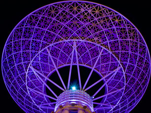 How to Choose the Right Business Structure in the UAE