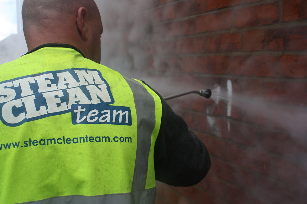 Masonry Paint Removal The Steam Clean Team England