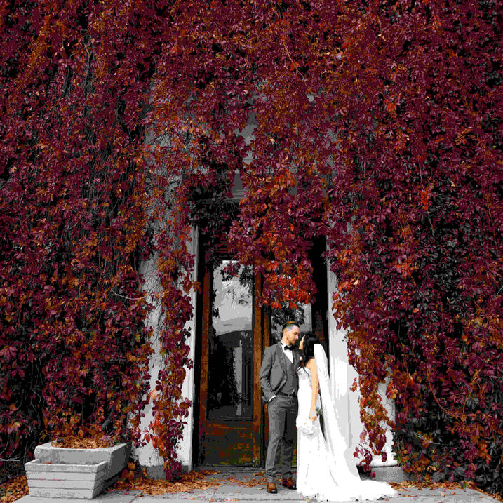 Весілля Олега та Олі