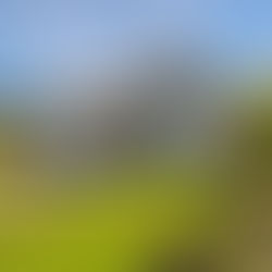 How To Increase the Resale Value of Your Home 