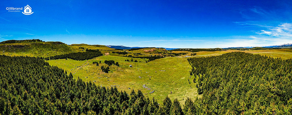 Parcela-fundo-huemul-patagonia6.jpg