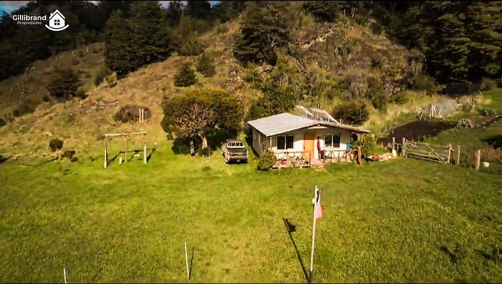 Parcela-puerto-sanchez-patagonia7.jpg
