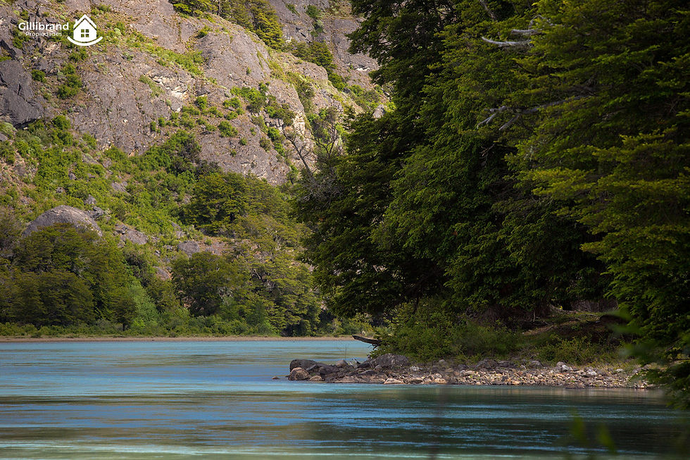 Parcela-patagonia-baker14.jpg