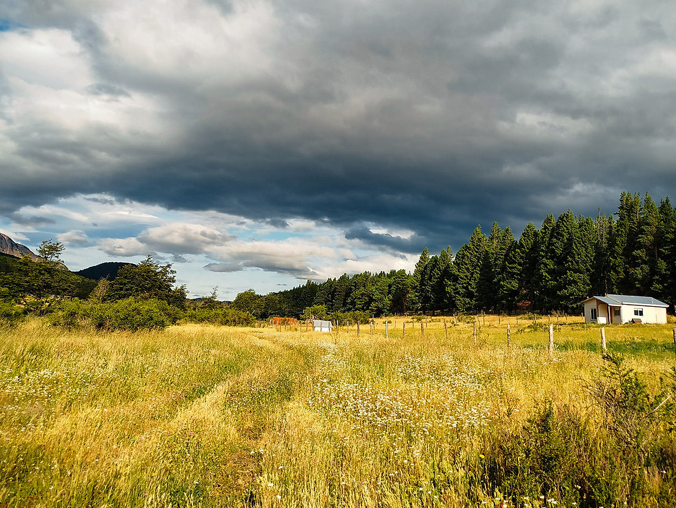 Parcela-reserva-coyhaique-patagonia1.jpg
