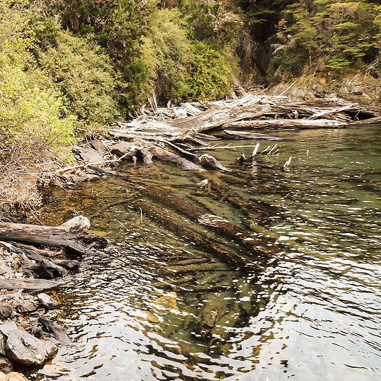 Parcela-lago-elizalde-patagonia1.jpg