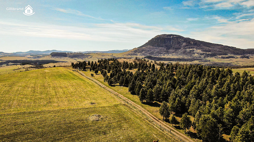 Parcela-fundo-armadillo-patagonia17.jpg