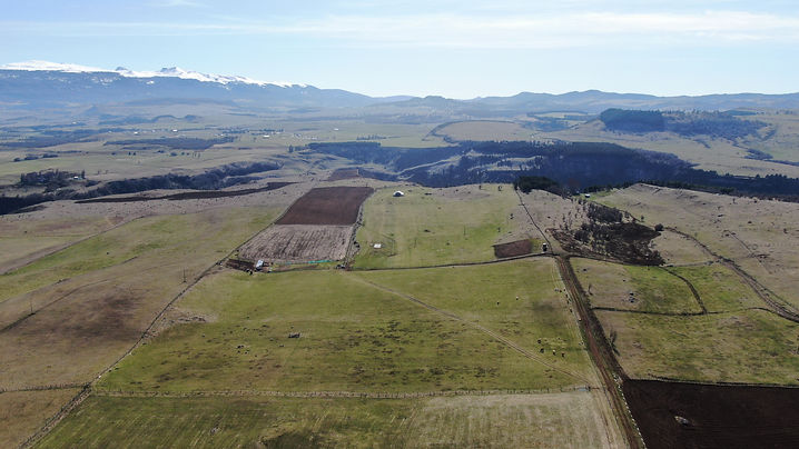 Copia de DJI_0666.JPG