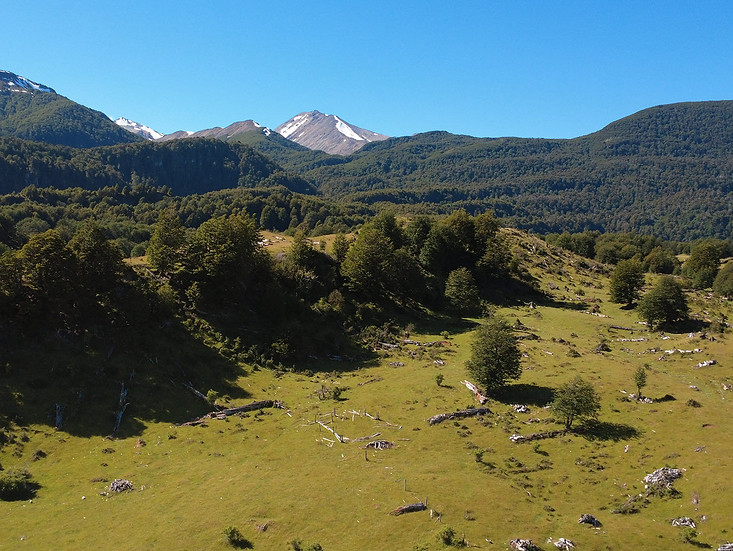 Parcela-altos-del-lago-patagonia-11.jpg
