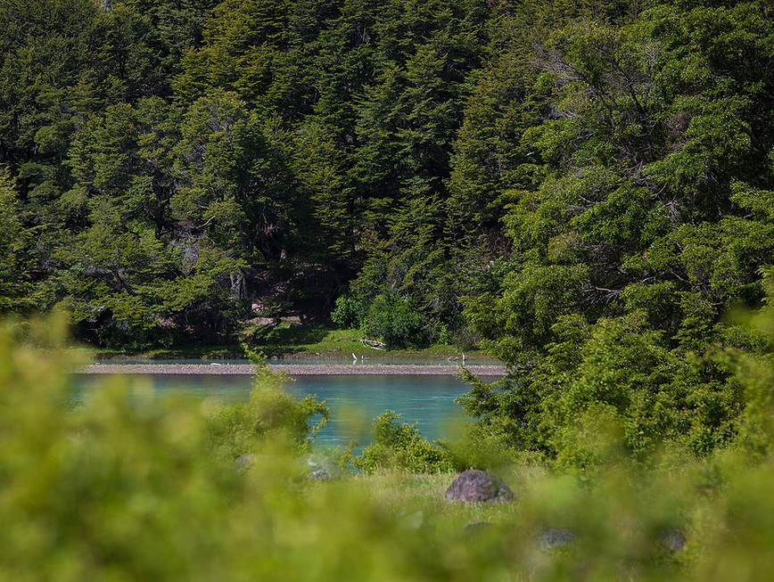 Parcela-patagonia-baker2.jpg
