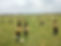 IMG-20180704-WA0003.jpg