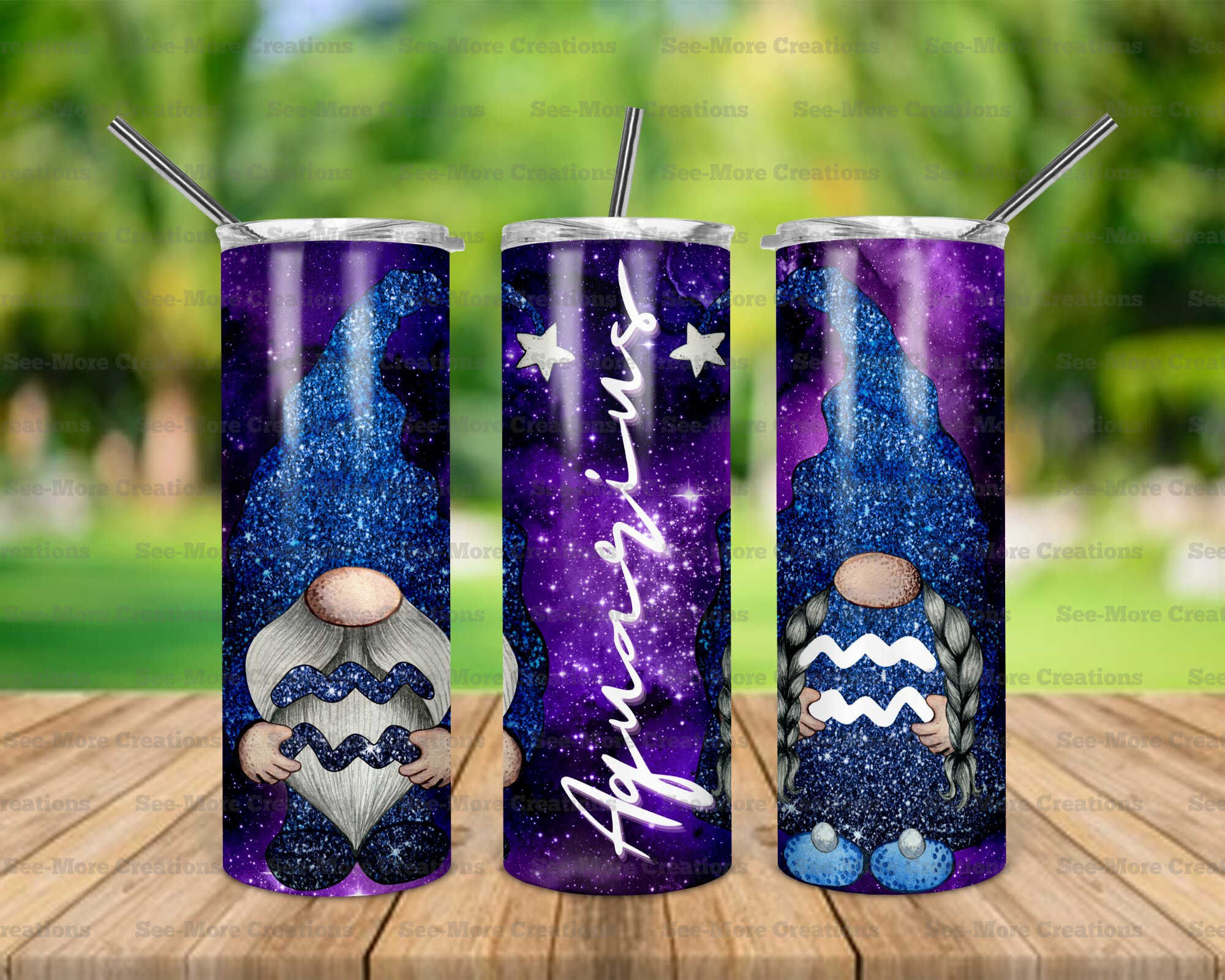 Aquarius #14 Gnomes Skinny Tumbler