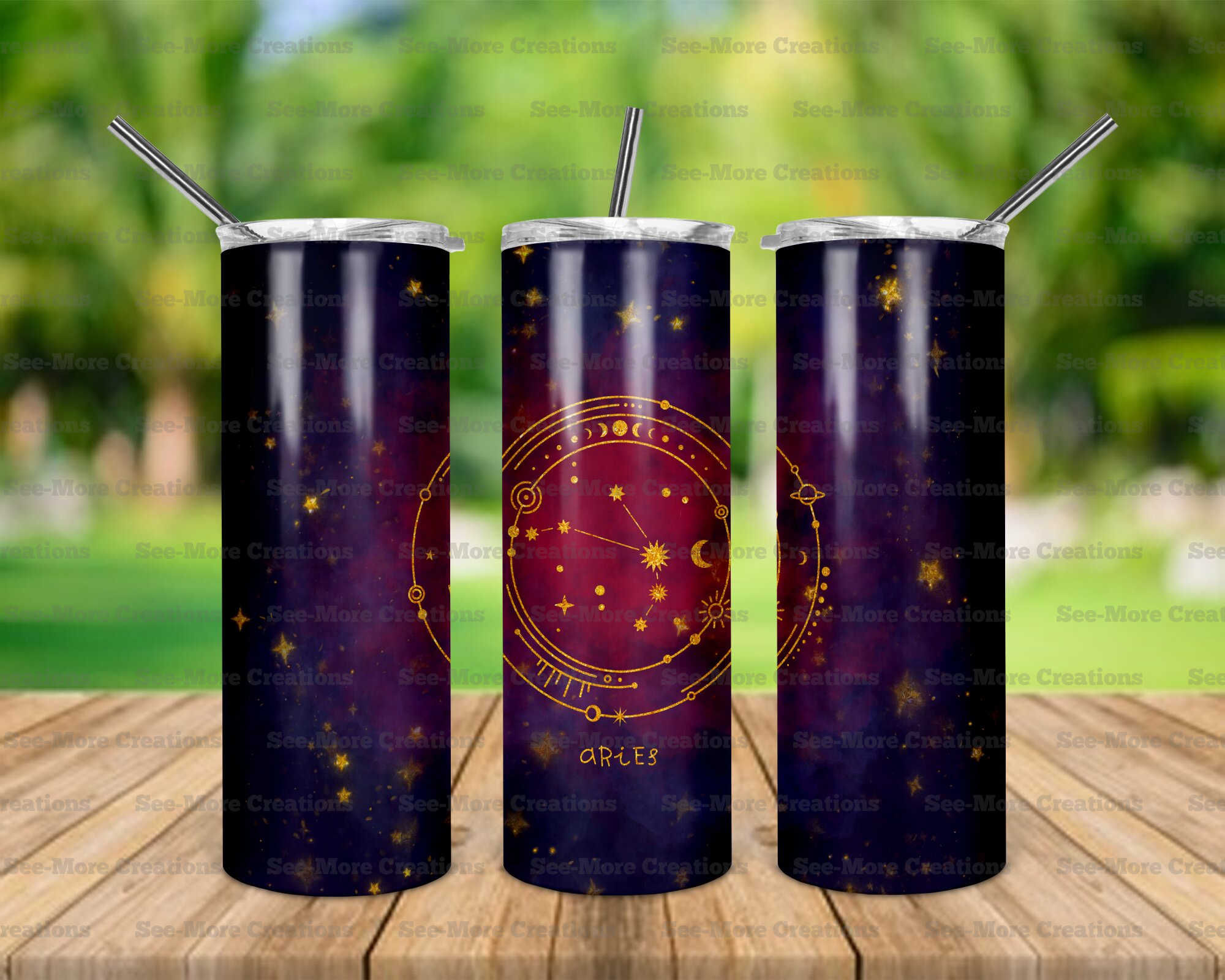 Aries #19 Constellation Skinny Tumbler