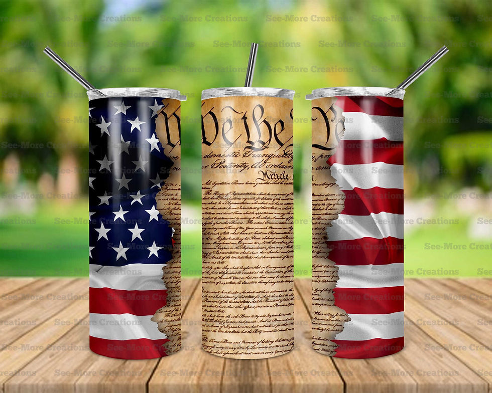 We The People #3 American Flag Skinny Tumblers