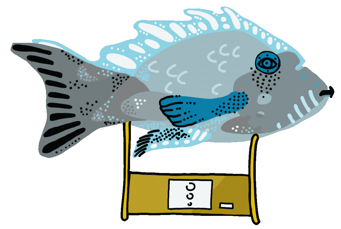 Opera_senza_titolo copia 4.gif