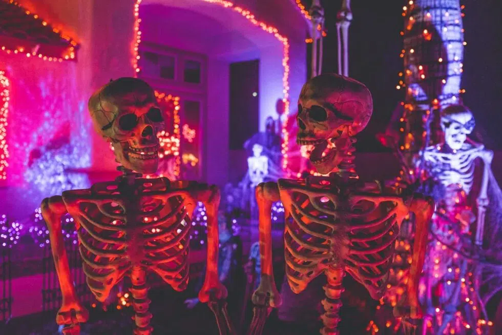 Two skeleton near a building with neon lights