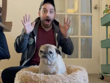 TikTok’s Newest Inside Joke: Bones Day or No Bones Day